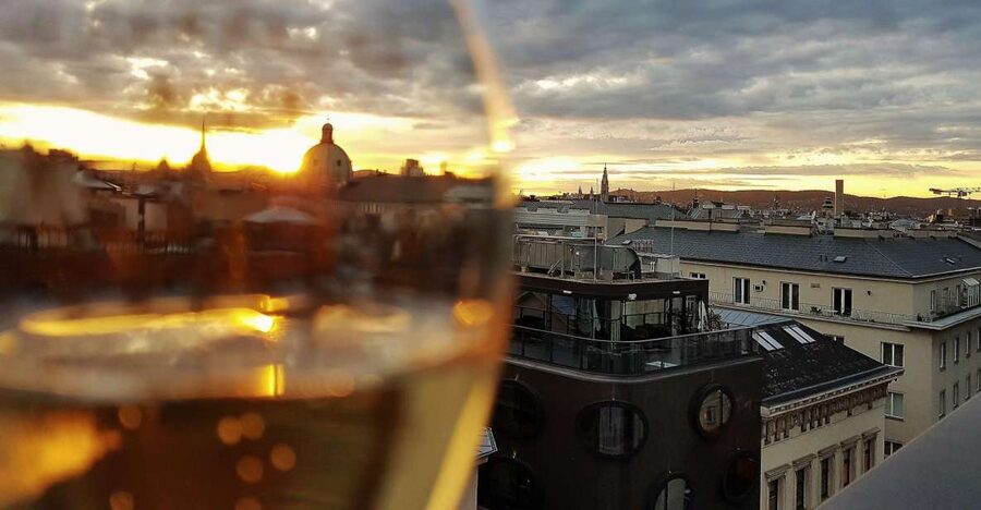 Vienna: Wine Tasting Tour - Key Things You’ll Notice on This Vienna Wine Tasting Tour