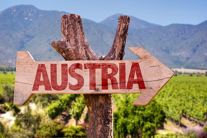 Vienna Wine Tasting Tour with Private Wine Expert - The outskirts angle: comfort and context with private car transfers