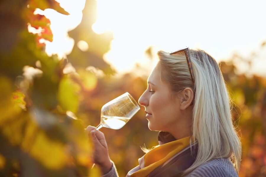 Vienna: Winery and Wine Tasting Tour with a Wine Expert - Why Vienna Wine Works So Well for a Short Private Tour
