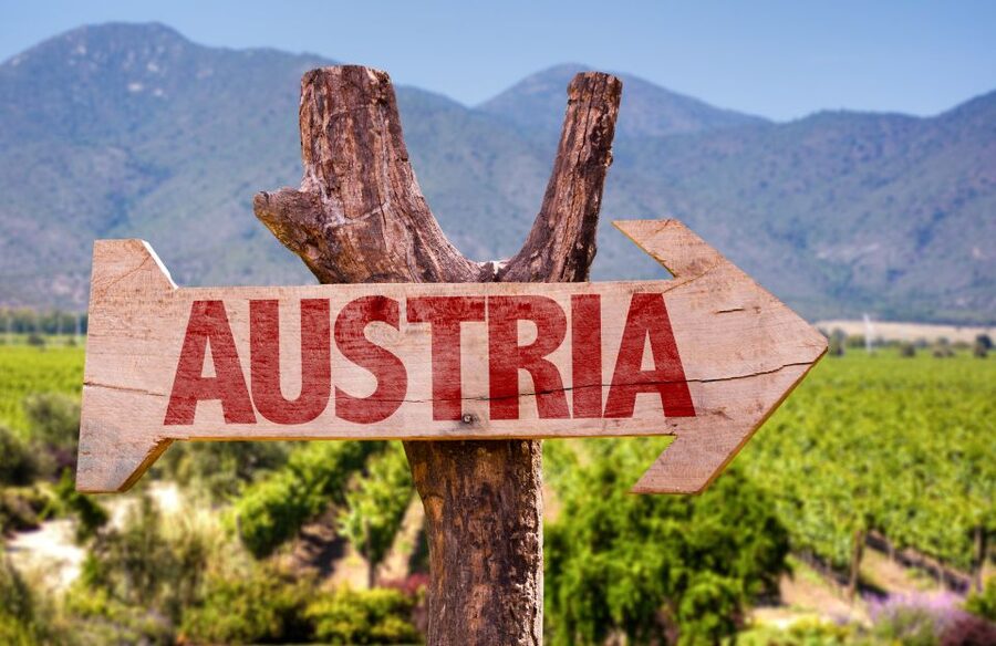 Vienna: Winery and Wine Tasting Tour with a Wine Expert - What You Will Taste: Austrian Styles and Real Wine Vocabulary