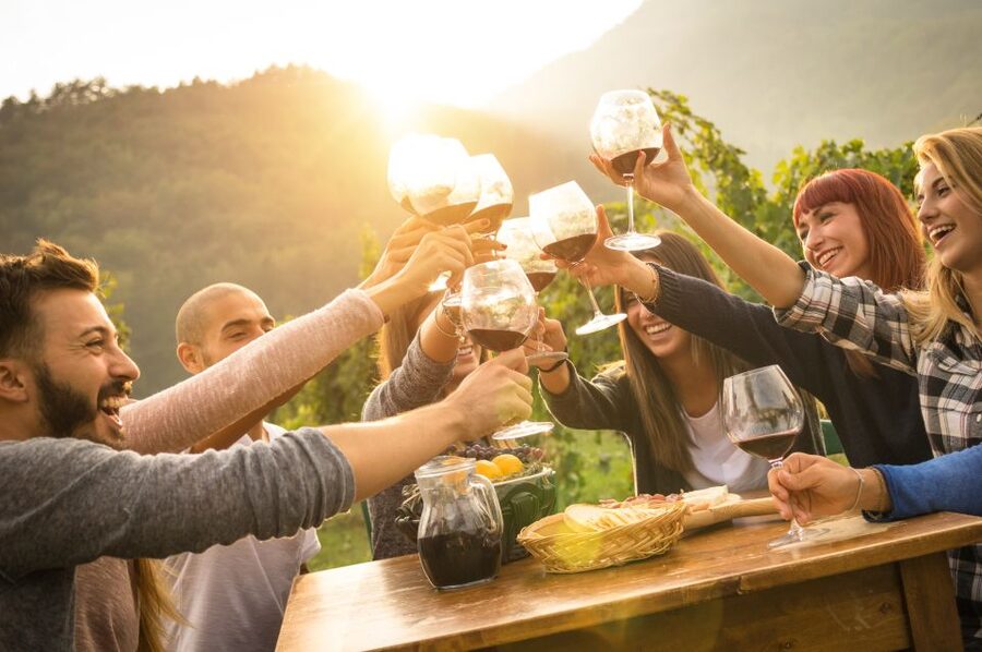 Vienna: Winery and Wine Tasting Tour with a Wine Expert - Who This Tour Suits Best