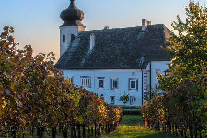 Vienna Woods Wine Tour - Wines, Vines & Good Times! - Getting the Most From a Small Group (Maximum 12) and English Commentary