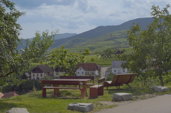 Wachau Discovery Tour - Krems an der Donau: the last town stop without the stress