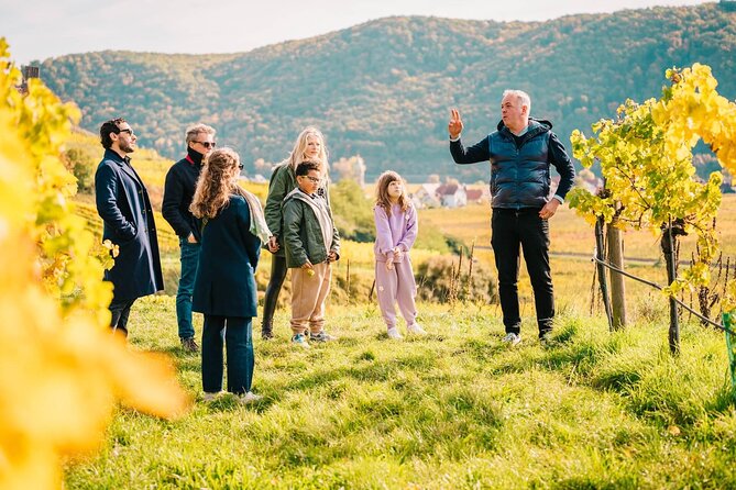 Wachau Valley Private Wine Tour with Tasting and Gourmet Lunch - Key things to know before you go