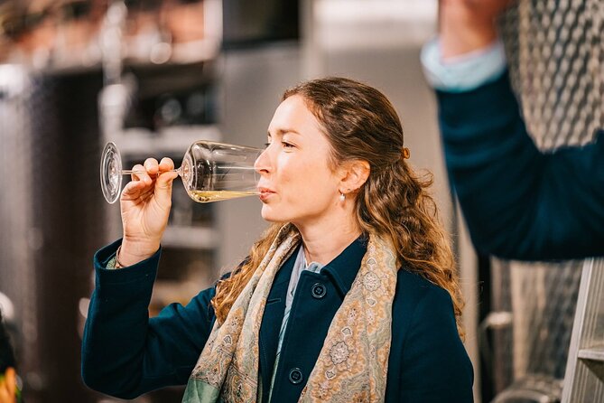 Wachau Valley Private Wine Tour with Tasting and Gourmet Lunch - Weingut Johann Donabaum: a family-run tasting with hands-on context
