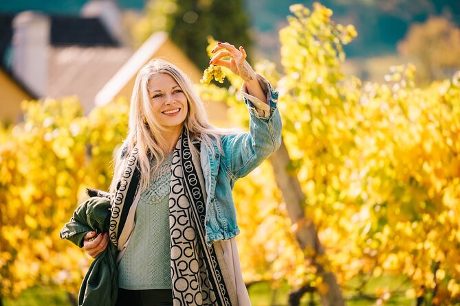 Wachau Valley Private Wine Tour with Tasting and Gourmet Lunch - Price and value: why $1,196.53 can still make sense
