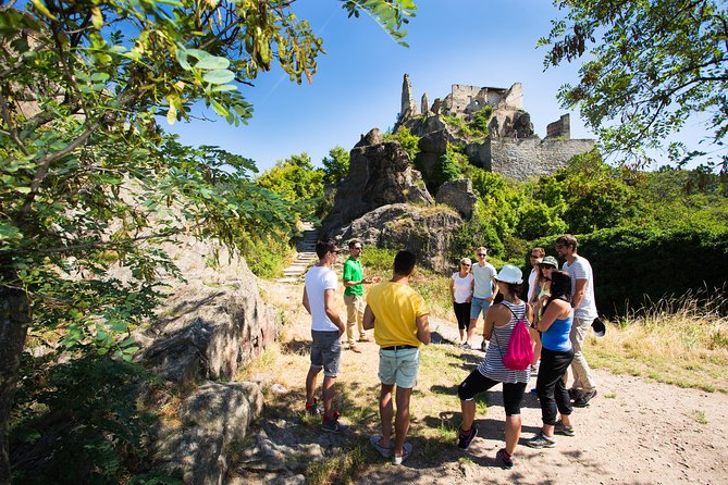 Wachau Valley Wine Tasting Bike Tour from Vienna - Winery tastings that are built into the ride