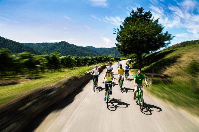 Wachau Valley Wine Tasting Bike Tour from Vienna - Lunch in the wine taverns, plus what to bring