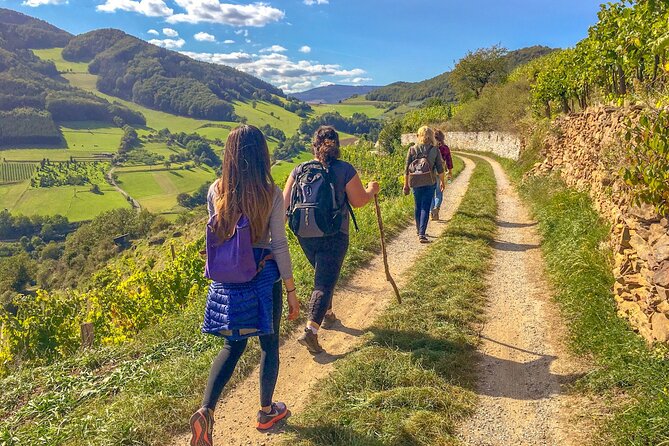 Wachau World Heritage Hike - Key Things That Make This Wachau Hike Worth Your Time