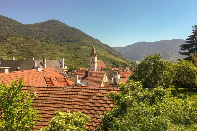 Wachau World Heritage Hike - Stop 1: Wachau Cultural Landscape, where vineyards and forests meet