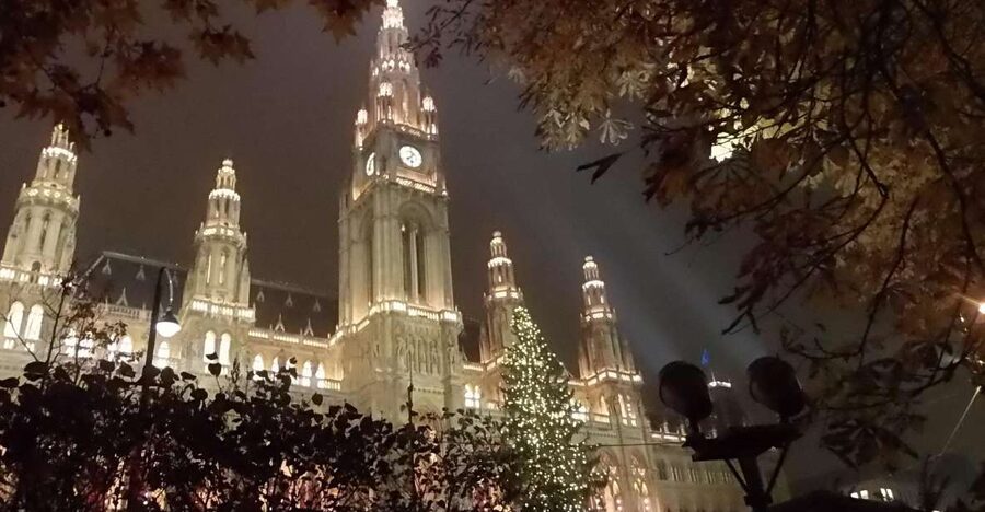 Wien: Tour with locals on the trails of the Christmas Tree - Vienna’s Christmas Tree Tradition, Explained Like a City Story
