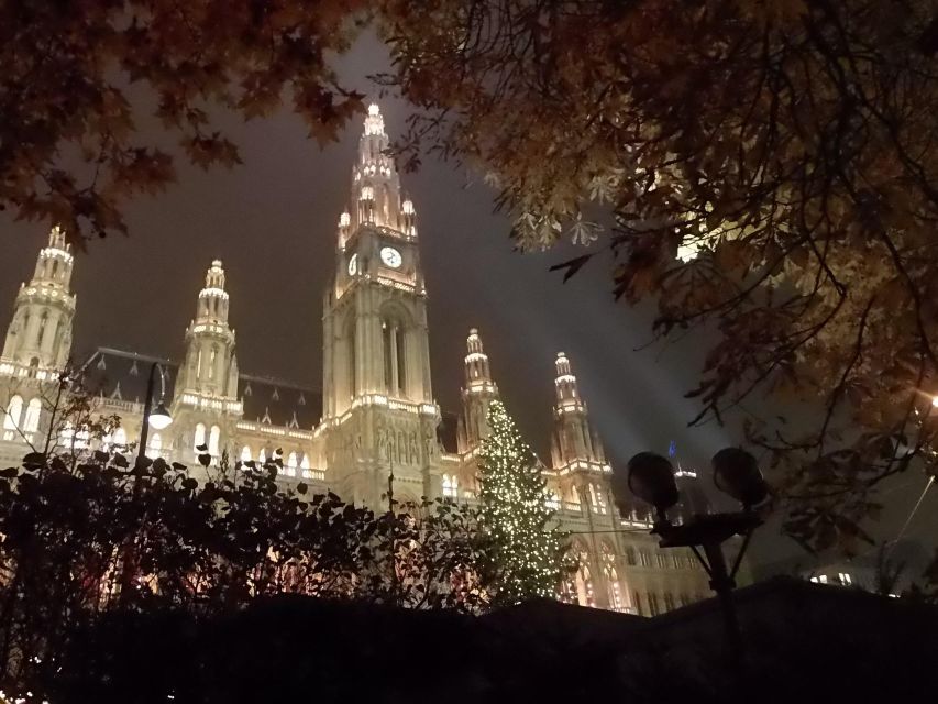 Wien: Tour with locals on the trails of the Christmas Tree - Following the Trail Through Vienna’s Illuminated Historic Center