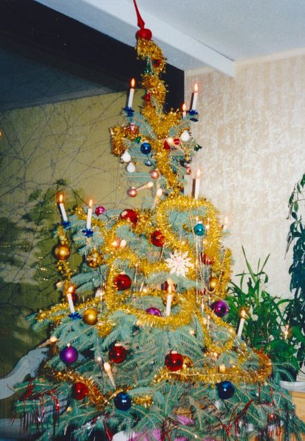 Wien: Tour with locals on the trails of the Christmas Tree - Albertina Museum Stop, Quick Context Instead of a Full Museum Visit