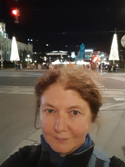 Wien: Tour with locals on the trails of the Christmas Tree - The Peter’s Church Note, and Why It Matters