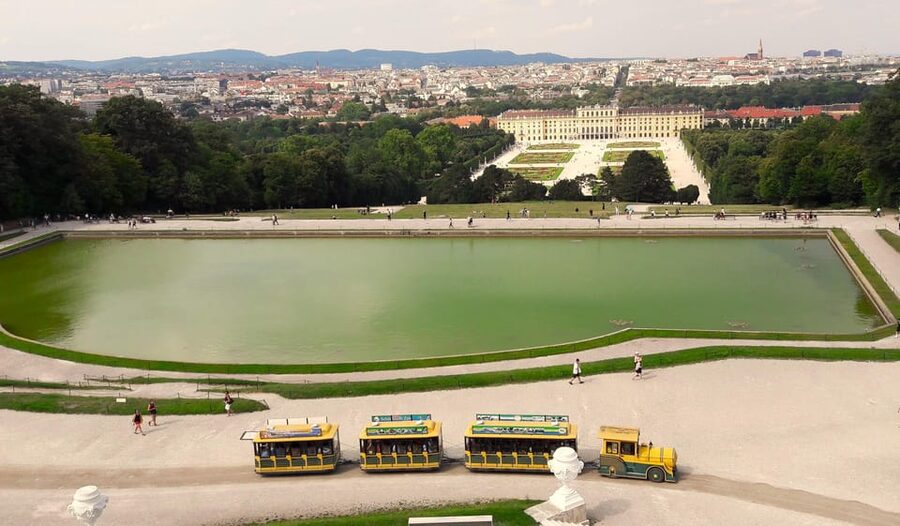 Wien: Tours with locals by public transport & walking - Why Vienna by tram and metro actually feels like Vienna
