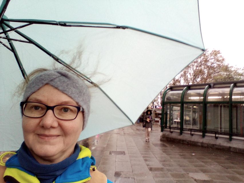 Wien: Tours with locals by public transport & walking - Schönbrunn Palace: mixing a guided visit with transit confidence