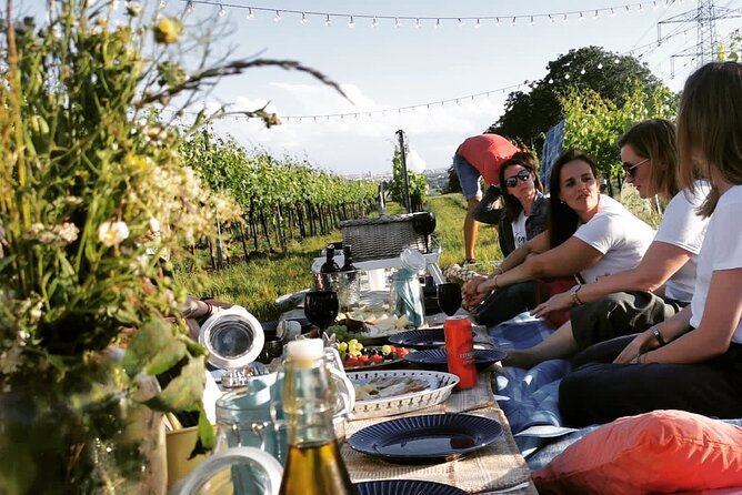 Wine Picknick overlocking vienna - Key Highlights You Should Know Before Booking