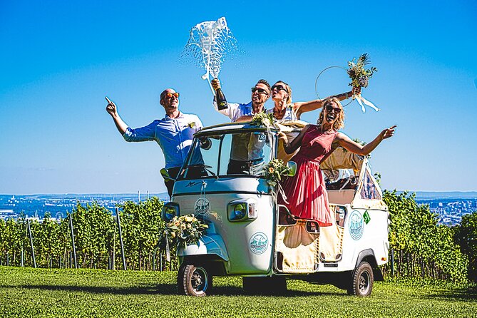 Wine Picknick overlocking vienna - Who This Vineyard Picnic Suits Best